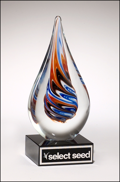 Custom Art Glass Award Albany NY