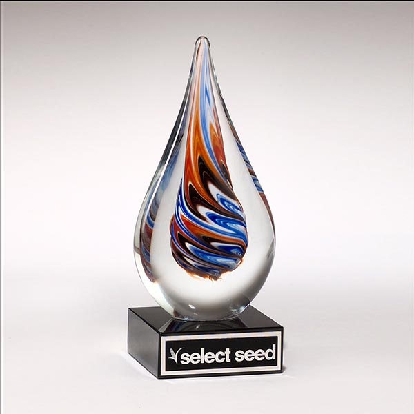 Custom Art Glass Award Albany NY